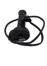 Electronic Throttle Command RBW 2D000095 (OEM)
