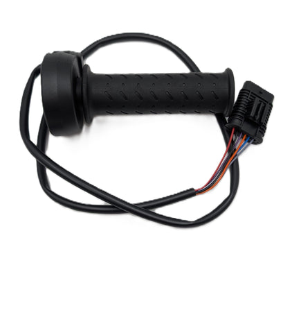 Electronic throttle command RBW 2D000095 (OEM)